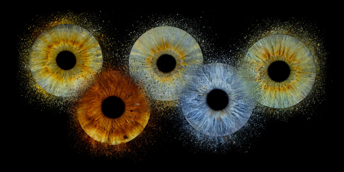 Image d'iris montrant la beauté unique des motifs de l'œil
