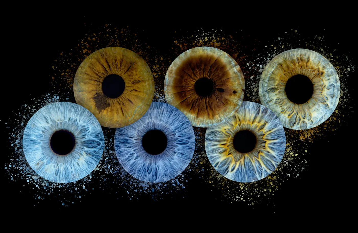 Photo de six iris par Planet'Iris
